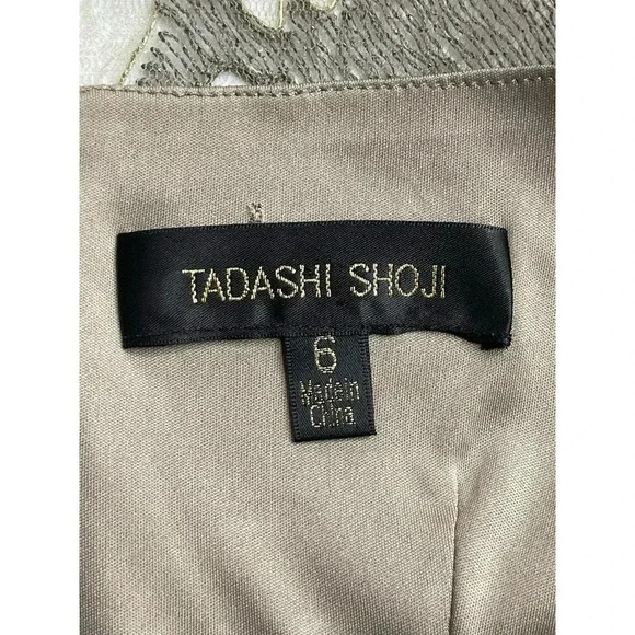 Tadashi Shoji Ilussion Yoke Lace Cocktail Dress Knee length size 6 - Picture 10 of 11